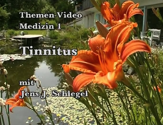 Jens Schlegel - Tinnitus