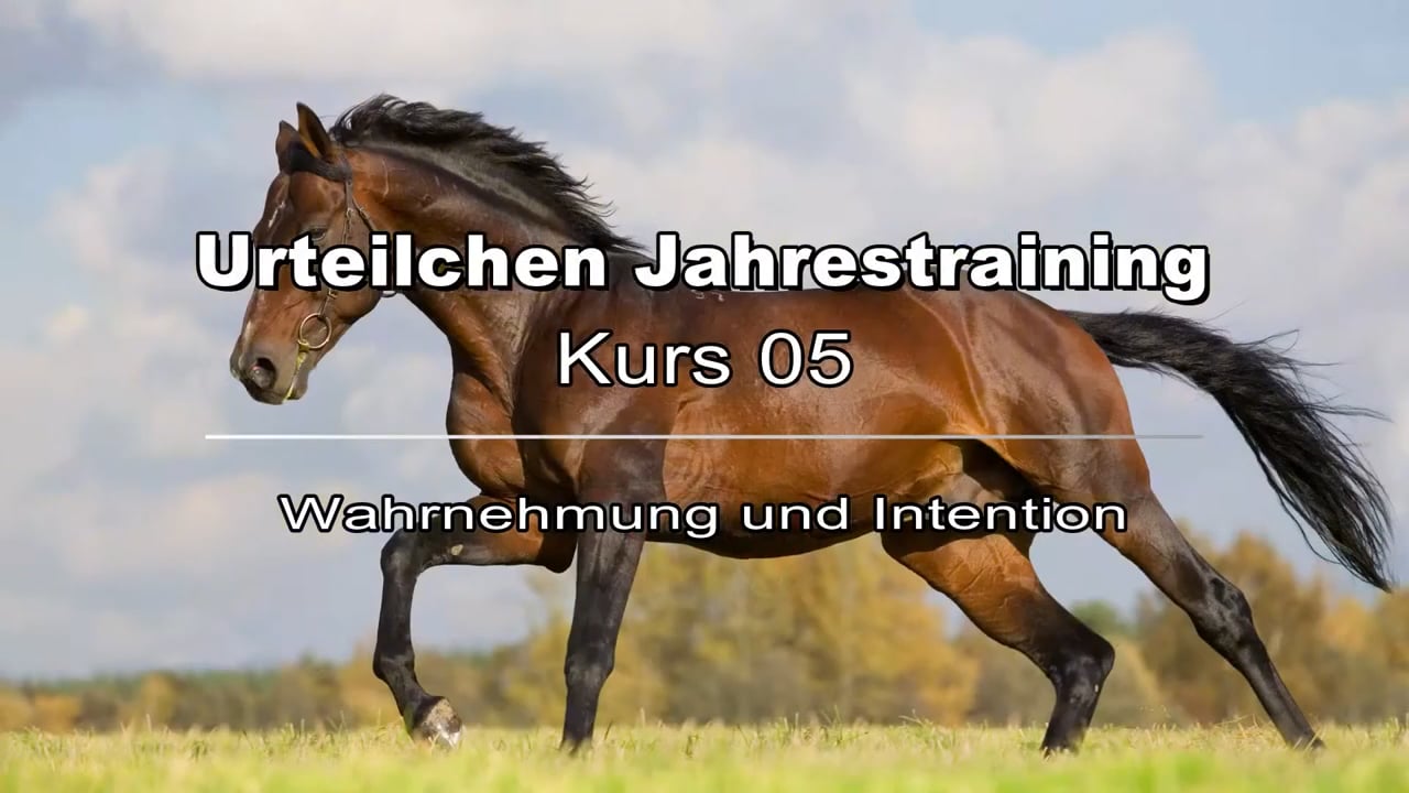 Kursstufe 05 - Wahrnehmung und Intention - Klaus Jürgen Becker