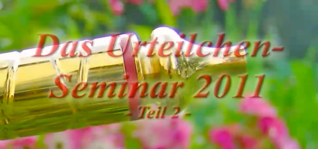 Das Urteilchen®-Seminar 2011 - Teil 2